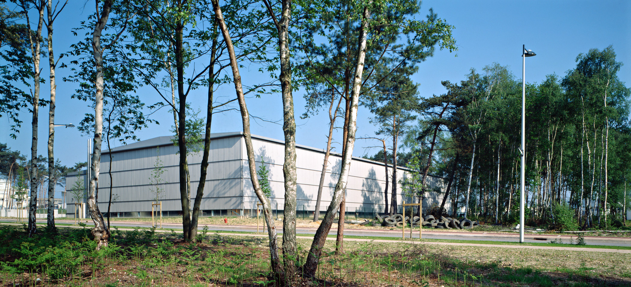 image extérieure du gymnase avec pins
